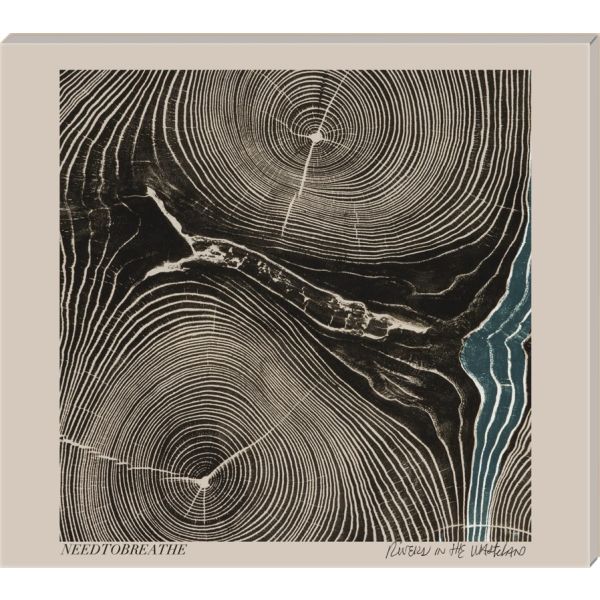 Produktbild des Artikels Rivers In The Wasteland (Audio - CD)