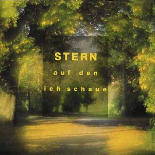 Produktbild des Artikels Stern, auf den ich schaue (MP3-Album - Download)