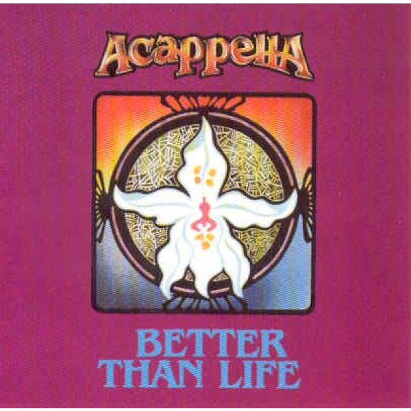 Produktbild des Artikels Better than life (Audio - CD)