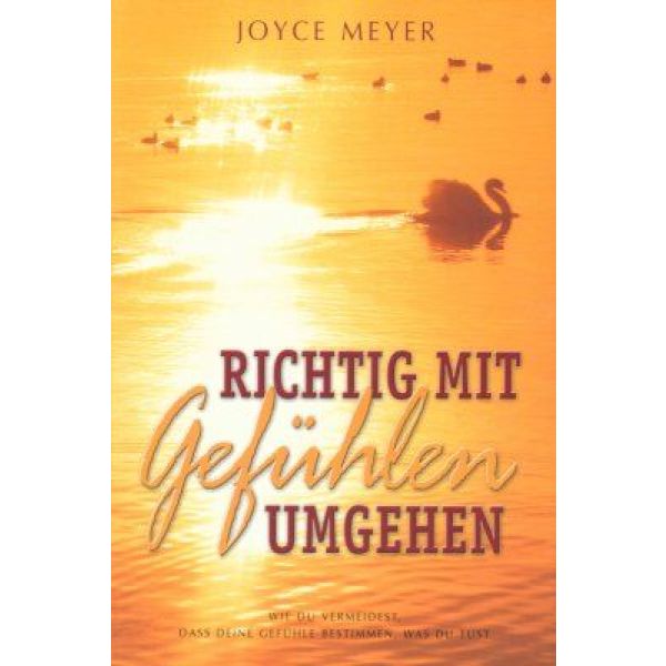 Produktbild - Richtig mit Gefühlen umgehen