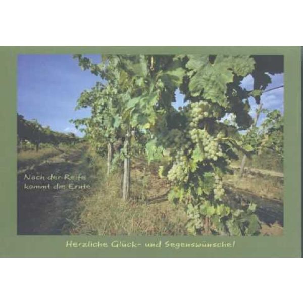 Produktbild - Faltkarte "Weinberg" - 5 Stück