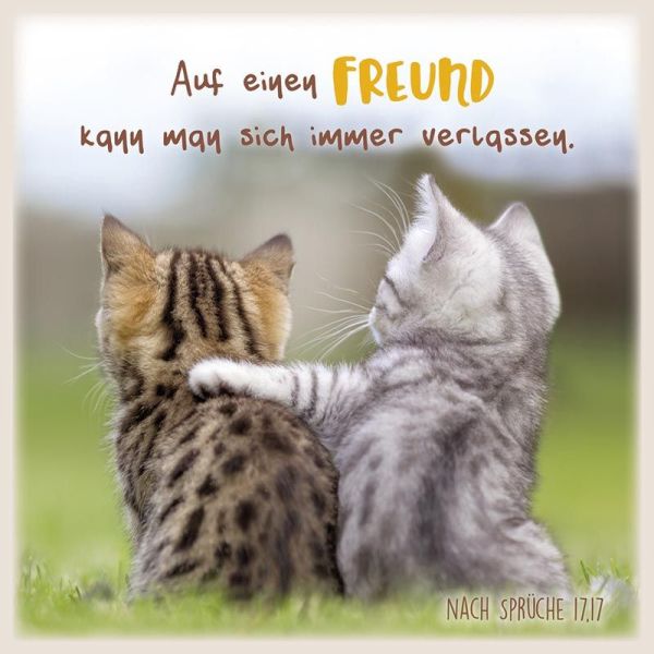Produktbild des Artikels Metallschild - Katzenfreunde ()