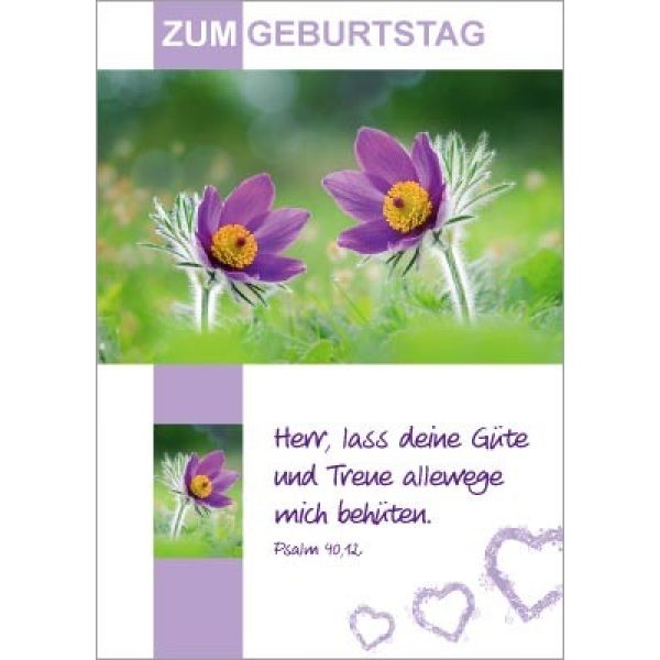 Produktbild - Postkartenserie Zum Geburtstag - 12 Stück