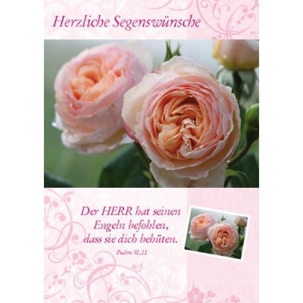 Produktbild - Postkartenserie Herzliche Segenswünsche - 12 Stück