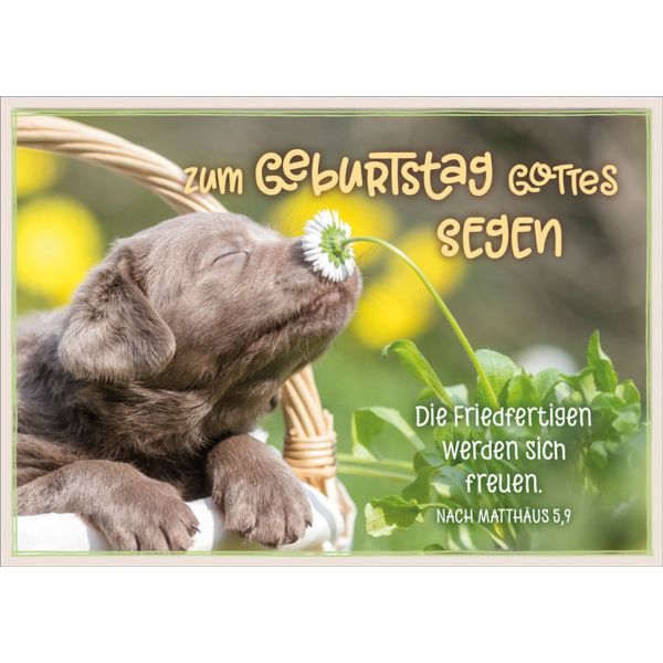 Neujahrslose Mit Poesiemotiven 7 30