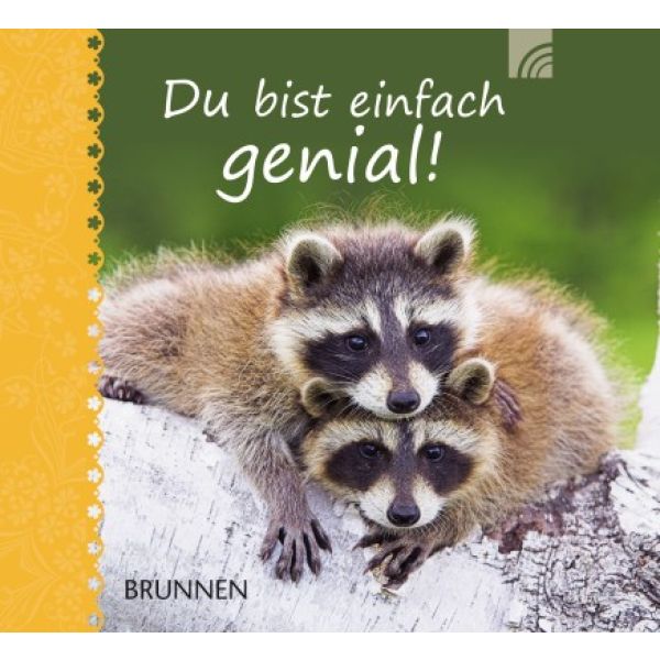 Produktbild - Du bist einfach genial!