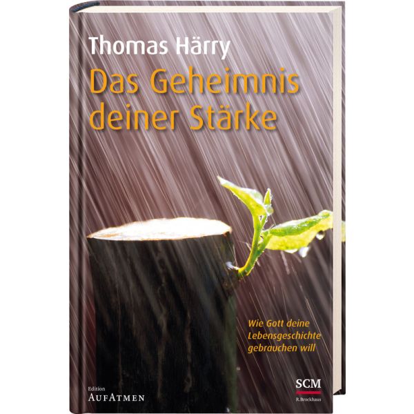 Produktbild des Artikels Das Geheimnis deiner Stärke (Buch - Gebunden)