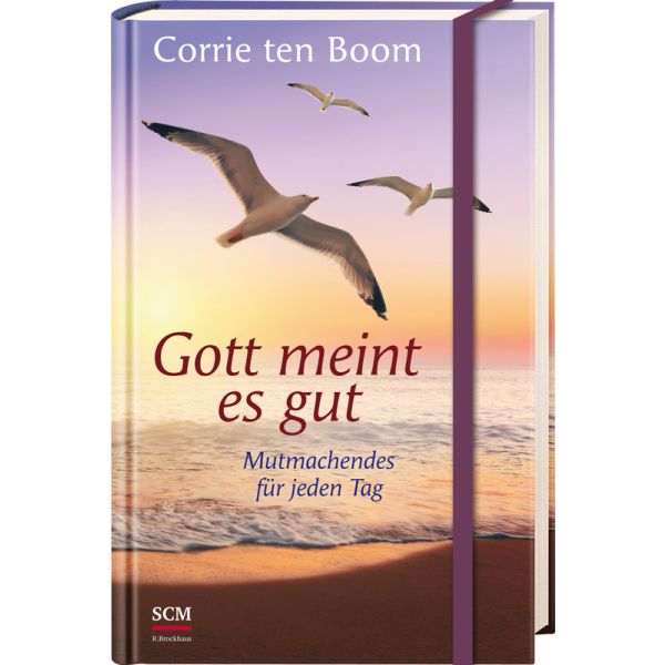 Produktbild - Gott meint es gut