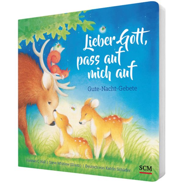 Produktbild des Artikels Lieber Gott, pass auf mich auf (Buch - Pappbilderbuch)