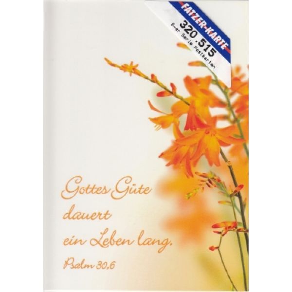 Produktbild - Postkarten Blumenträume, 6 Stück
