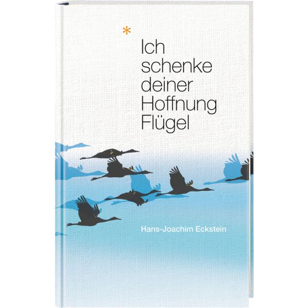 Produktbild - Ich schenke deiner Hoffnung Flügel