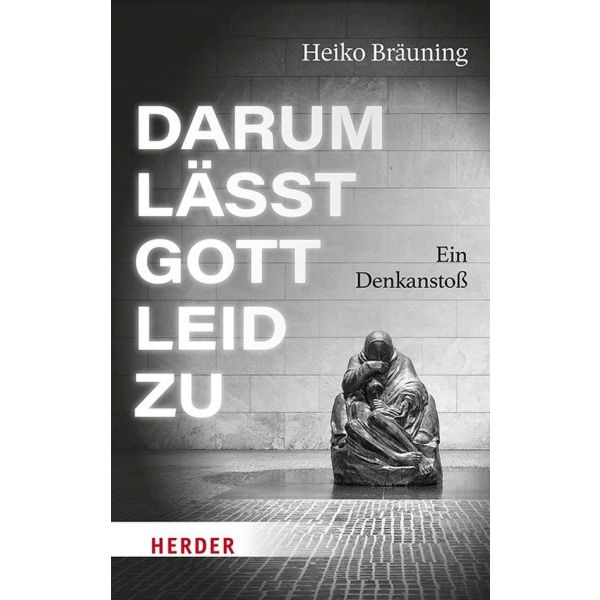 Produktbild - Darum lässt Gott Leid zu