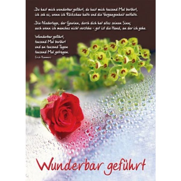 Produktbild des Artikels Postkarten: Wunderbar geführt, 12 Stück (Schreibwaren)