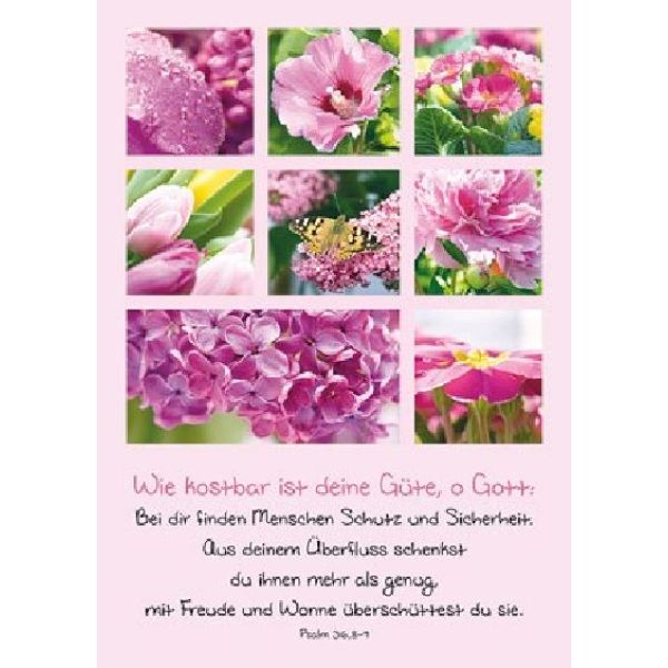 Produktbild des Artikels Postkarten: Wie kostbar ist deine Güte, o Gott, 12 Stück (Schreibwaren)