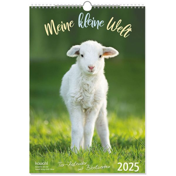 Produktbild - Meine kleine Welt 2025