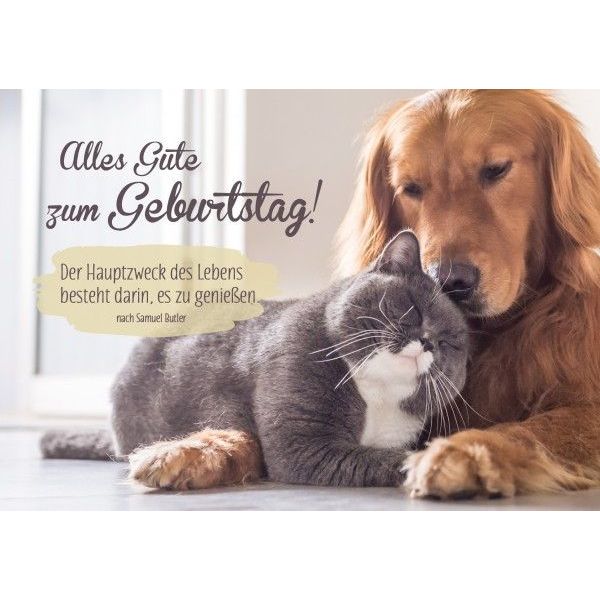Faltkarte Alles Gute Zum Geburtstag Schreibwaren