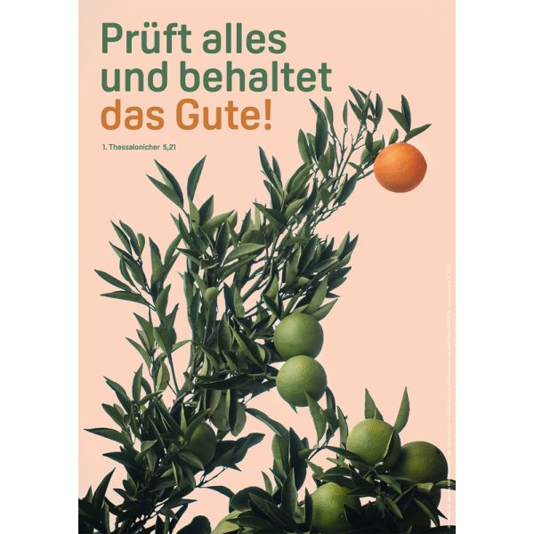 Produktbild des Artikels Jahreslosung 2025 - Poster A4 (Schreibwaren)