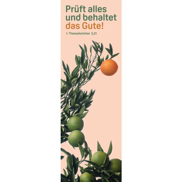Produktbild des Artikels Jahreslosung 2025 - Lesezeichen (10er-Set) ()