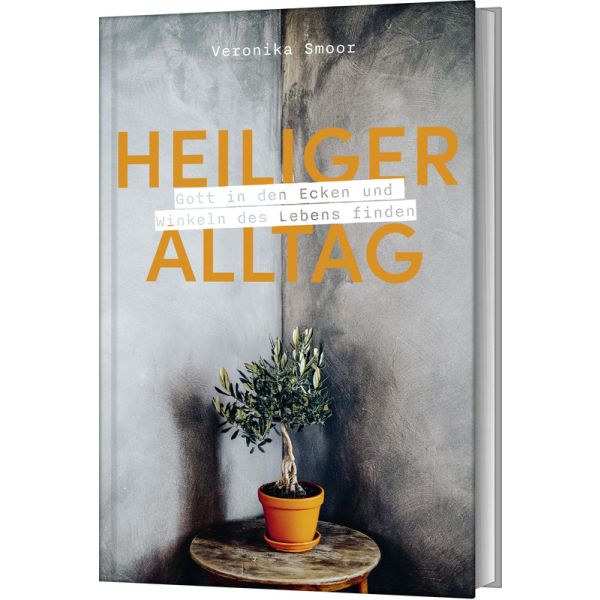 Produktbild des Artikels Heiliger Alltag (Buch - Gebunden)