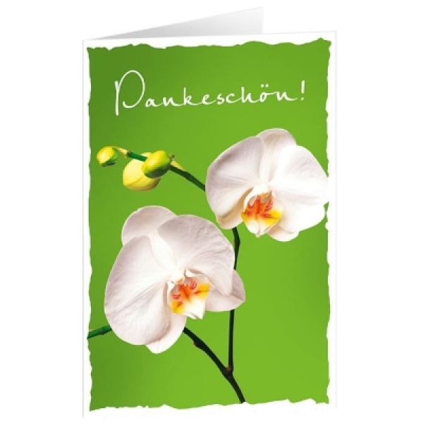 Produktbild des Artikels CD-Card: Dankeschön! (Schreibwaren)