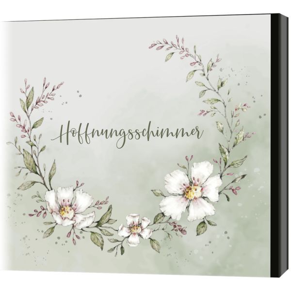 Produktbild des Artikels Hoffnungsschimmer (Audio - CD)