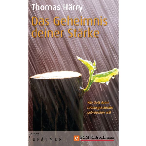 Produktbild des Artikels Das Geheimnis deiner Stärke (E-Book - ePUB Datei)