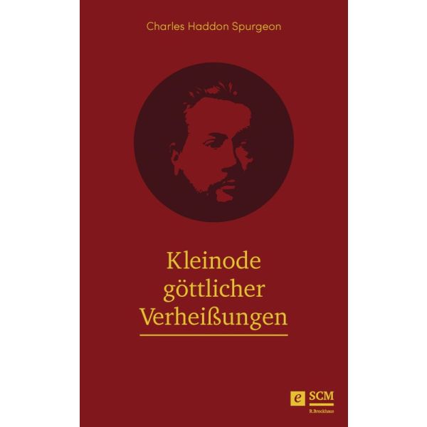 Produktbild des Artikels Kleinode göttlicher Verheißungen (E-Book - ePUB Datei)