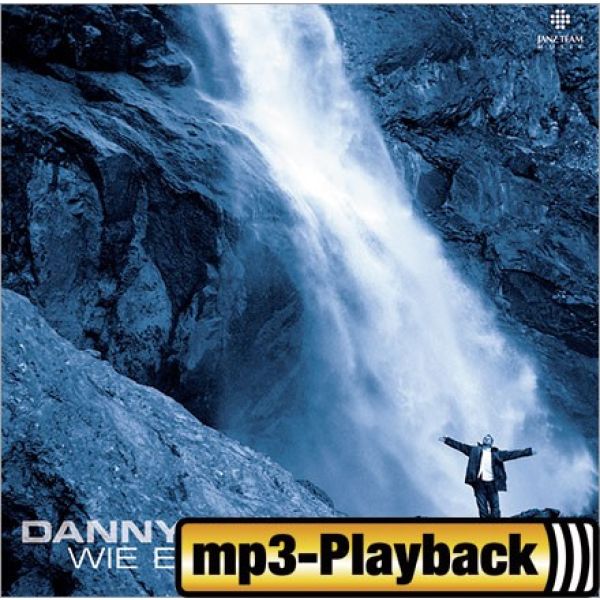 Produktbild des Artikels Du siehst die Wunden (Playback ohne Backings) (MP3-Track - Download)