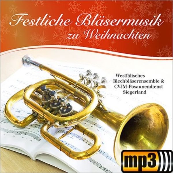 Produktbild - Der Morgenstern ist aufgedrungen