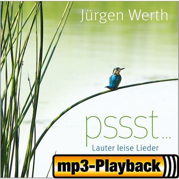 Produktbild des Artikels Vergiss es nie (Playback) (MP3-Track - Download)
