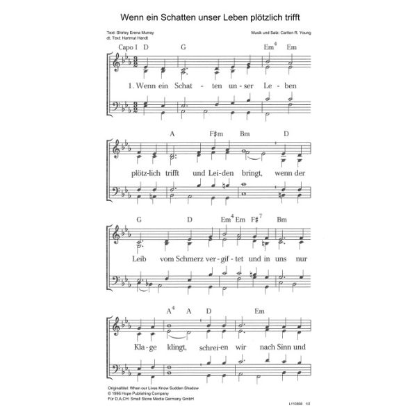 Produktbild des Artikels Wenn ein Schatten unser Leben plötzlich trifft / When our Lives Know Sudden Shad (Noten - Download)