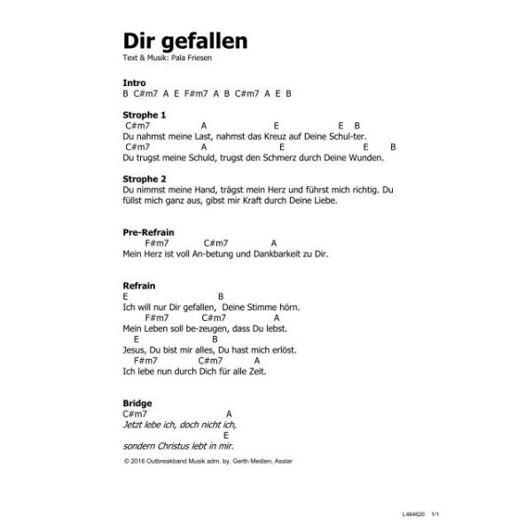 Produktbild - Dir gefallen