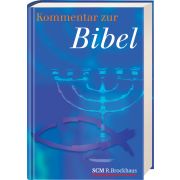 Kommentar zur Bibel