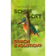 Schuf Gott durch Evolution?