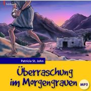 Überraschung im Morgengrauen - Hörbuch