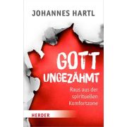 Gott ungezähmt