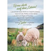 Produktbild des Artikels Schreibwaren, Postkarten: Freu dich auf das Leben!, 4 Stück