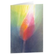 Produktbild des Artikels Schreibwaren, Kunstkarten "Knospe" 5 Stk.