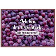 Produktbild des Artikels , Metallschild klein - Weinstock