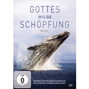 Gottes wilde Schöpfung: Wasser