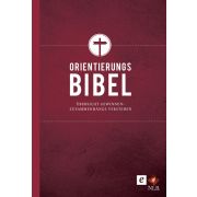 Die Orientierungsbibel