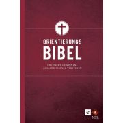 Produktbild des Artikels E-Book - PDF Datei, Die Orientierungsbibel
