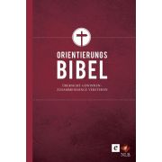 Die Orientierungsbibel