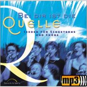 Produktbild des Artikels MP3-Album - Download, Bei dir ist die Quelle