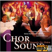 Produktbild des Artikels MP3-Track - Download, Salvation