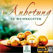 Produktbild des Artikels MP3-Track - Download, Herr des Himmels menschennah
