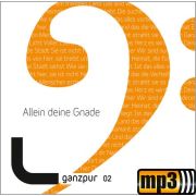 Produktbild des Artikels MP3-Album - Download, Allein deine Gnade