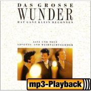 Produktbild des Artikels MP3-Album - Download, Das große Wunder hat ganz klein begonnen (Playb. ohne Backings)