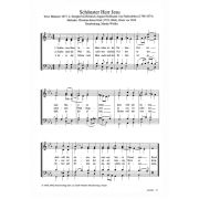 Produktbild des Artikels Noten - Download, Schönster Herr Jesu