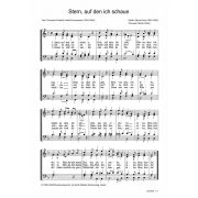 Produktbild des Artikels Noten - Download, Stern, auf den ich schaue